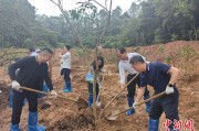 茌平广州已打造首批32处“绿美宗教活动场所”