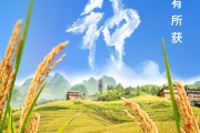 茌平芒种节气小知识来了 夏种作物都有什么？
