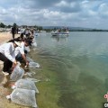 茌平云南江川举行增殖放流活动 逾54万尾鱼游入星云湖