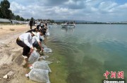 茌平云南江川举行增殖放流活动 逾54万尾鱼游入星云湖