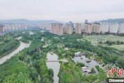 茌平西宁市举办六五环境日主题宣传活动